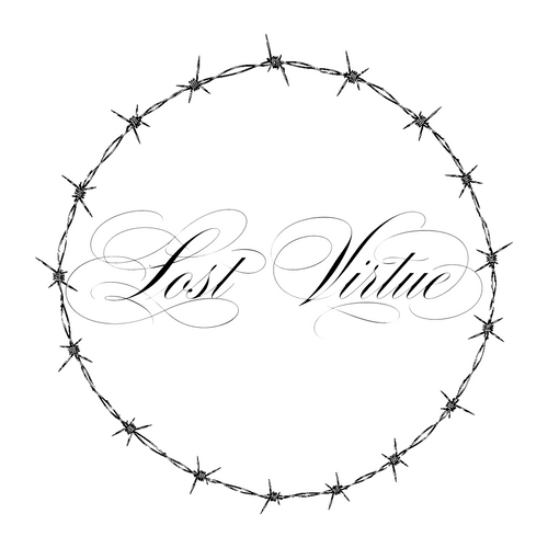 lostvirtue.us